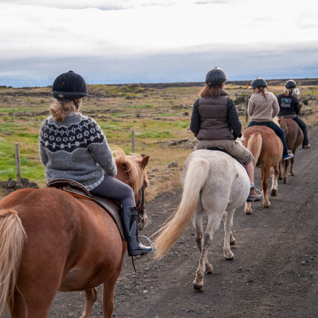 Women horseback riding on an outdoor trail in Iceland, sitting on saddles with horses walking ahead