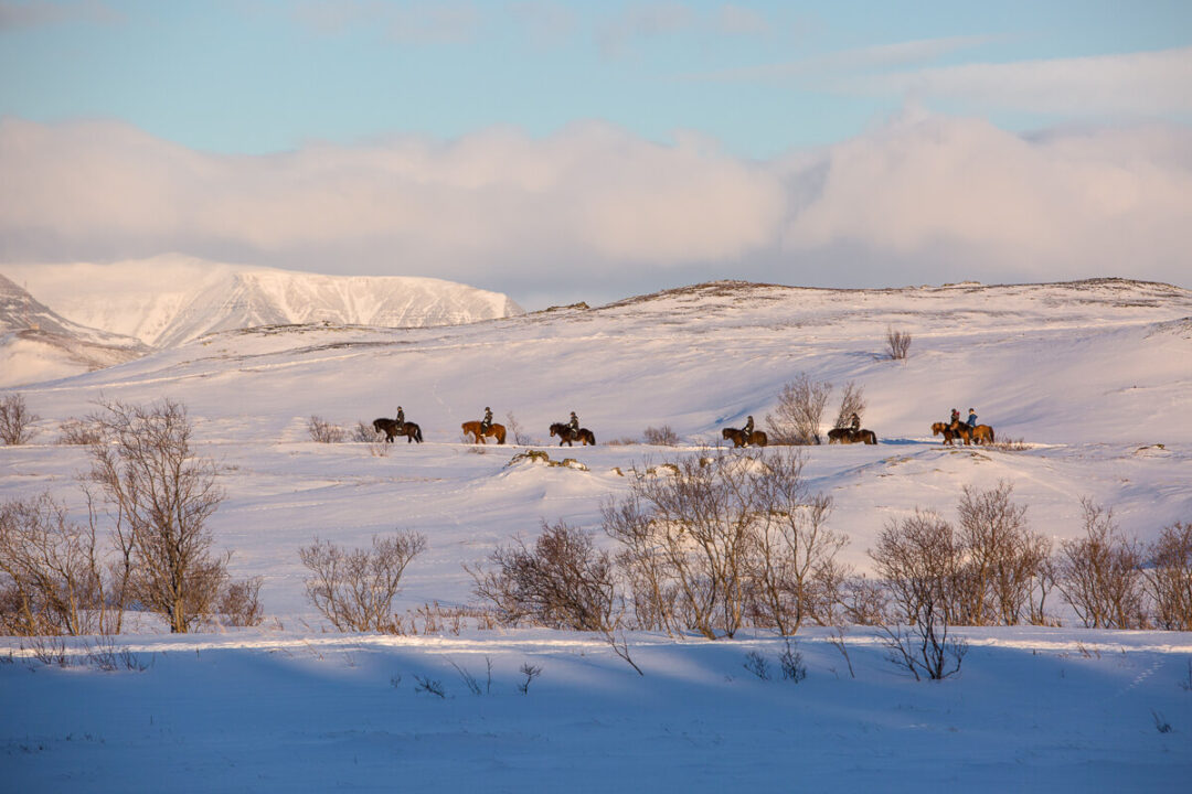 Women horse riding on snowy Icelandic countryside, with riders trotting across a winter landscape.