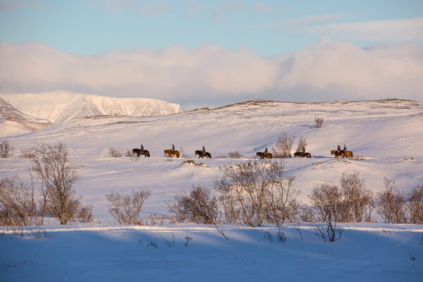 Women horse riding on snowy Icelandic countryside, with riders trotting across a winter landscape.