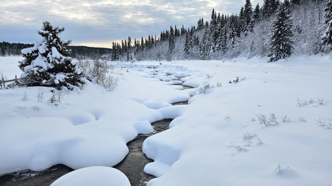 Snowy winter landscape with a frozen river through conifer forest and snow-covered hills