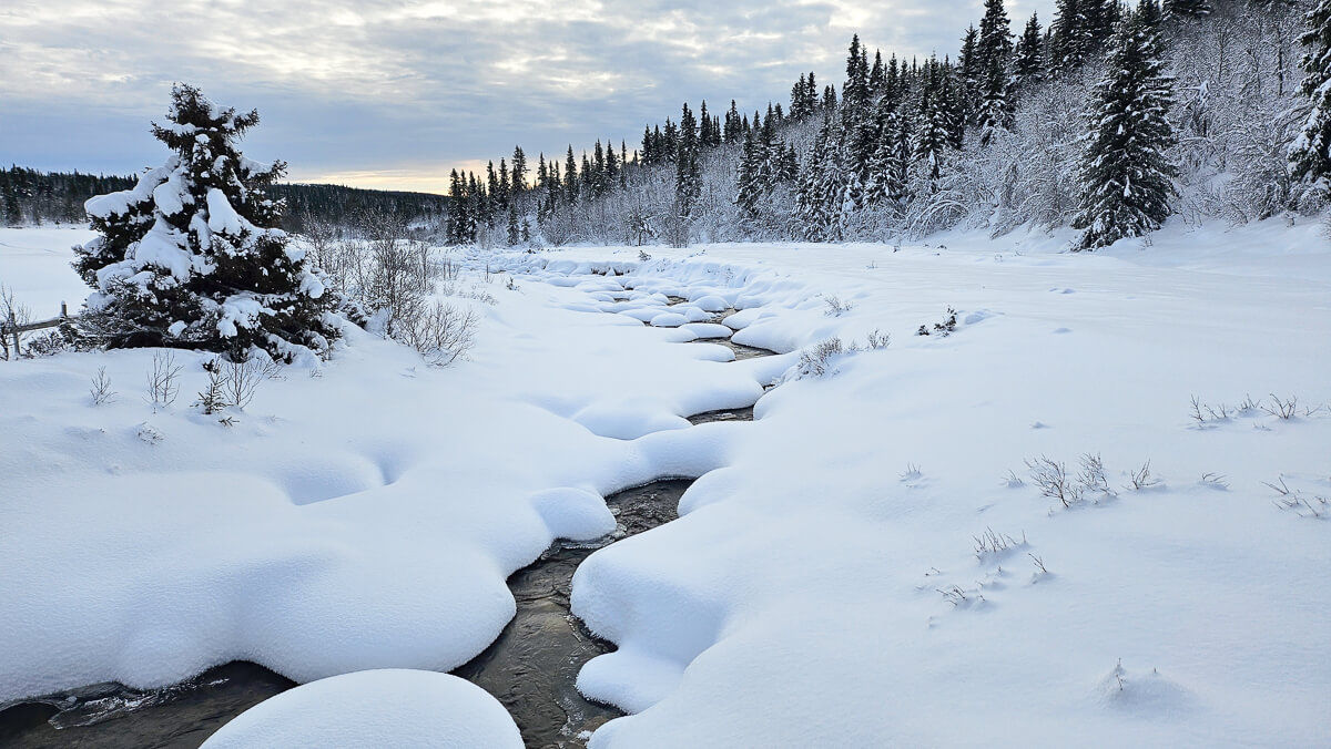 Snowy winter landscape with a frozen river through conifer forest and snow-covered hills