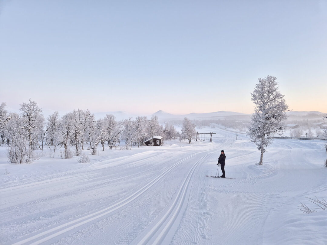 Women cross-country skiing on snowy tracks through a winter landscape in Norway