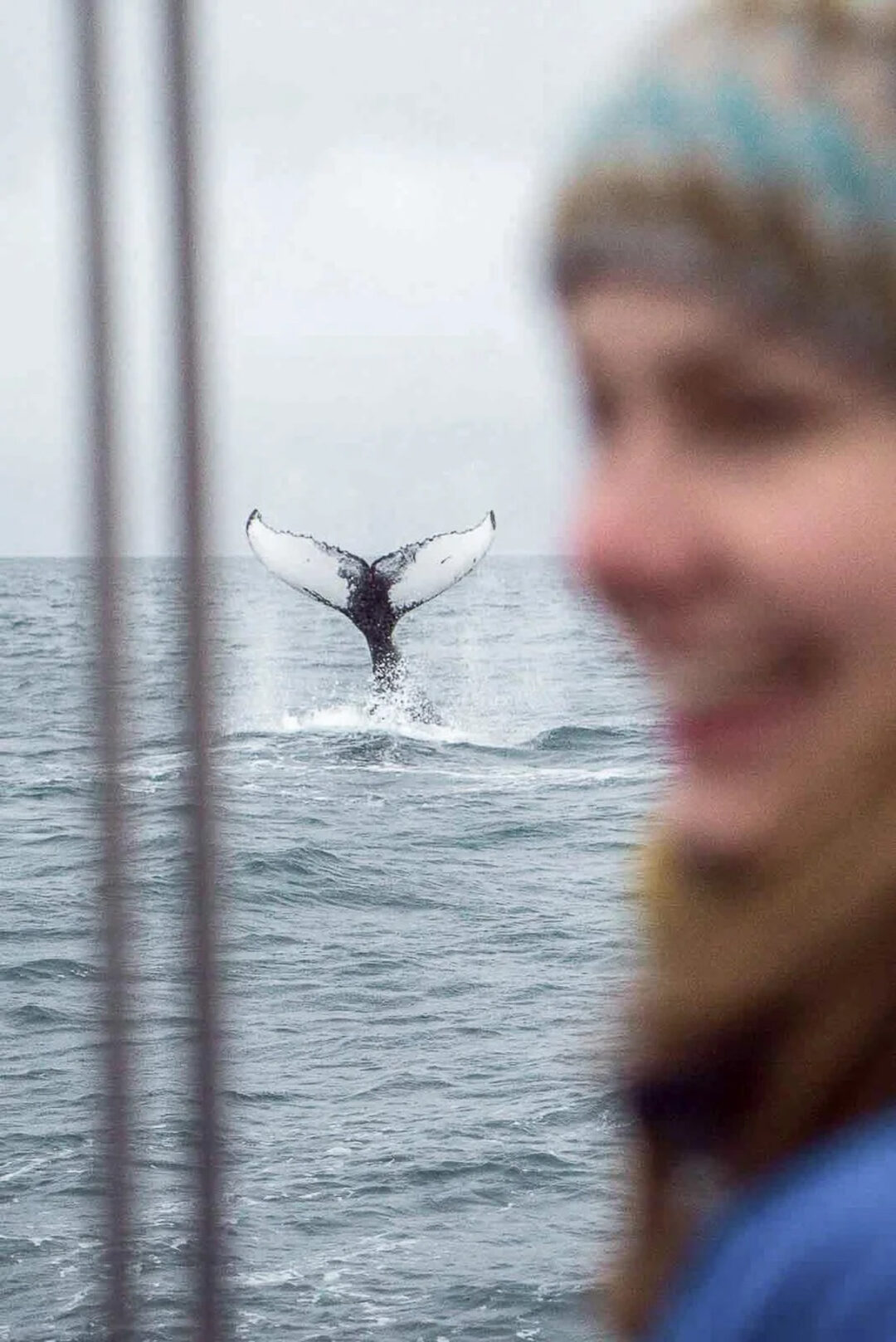 Whale breaching in cold ocean waters beside a boat, winter whale watching