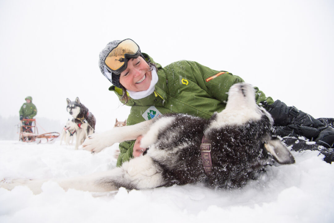 Woman on a dog sled in snowy Swedish Lapland, smiling with sled dogs running ahead through snow