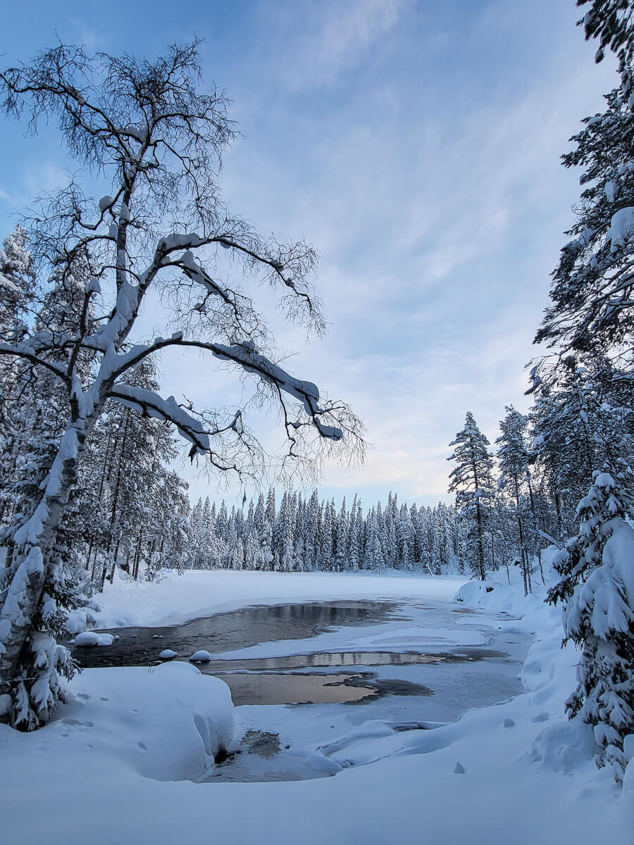 Snowy winter forest with snow-covered trees and a frozen stream through the landscape