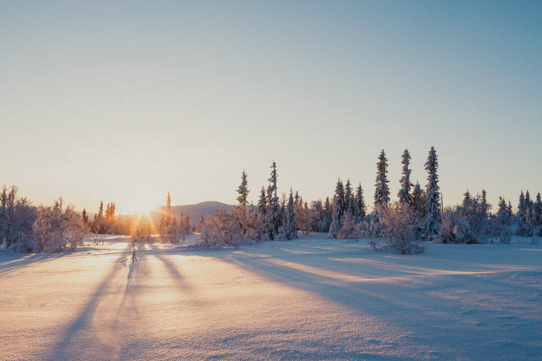 Snowy ski slope at sunrise with pine trees and clear blue winter sky