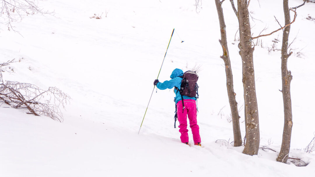 Woman snowshoeing through a snowy forest landscape, using ski poles in winter conditions