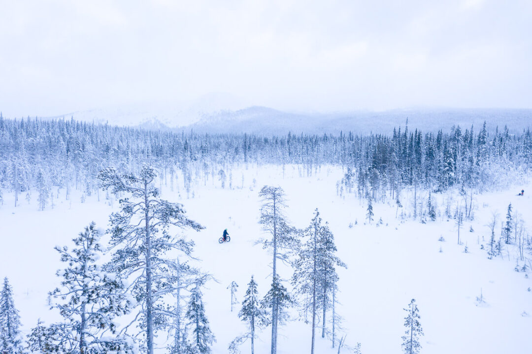 Snowy mountain forest with skiers gliding down a winter trail