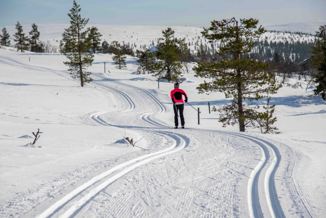 Women cross-country skiing on a snowy trail through forested hills with ski tracks in the background.