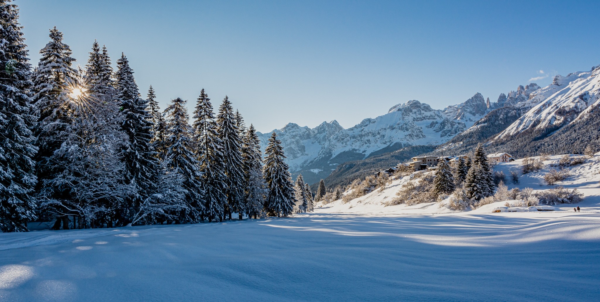 AdobeStock_565048332