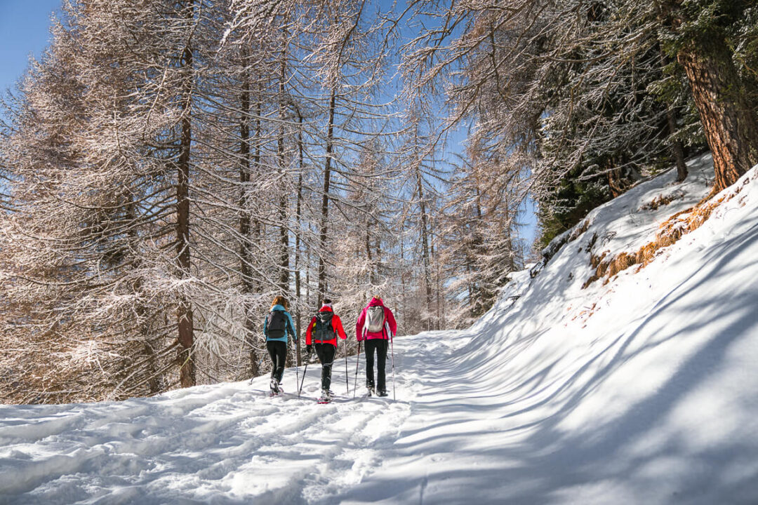 Women snowshoeing on a snowy mountain trail through a winter forest