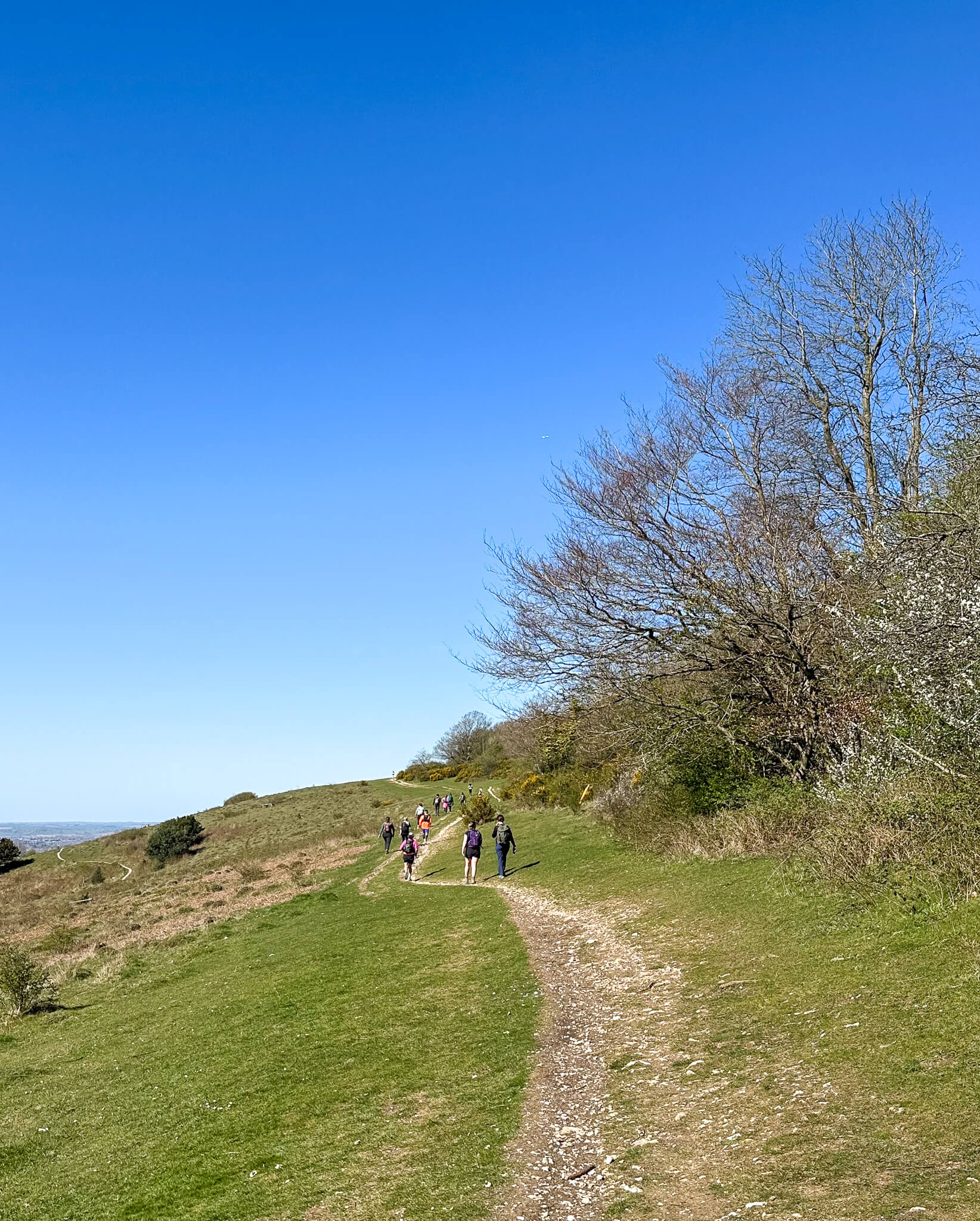 Women hiking a countryside trail on the Chilterns hillside near London, with clear blue sky.