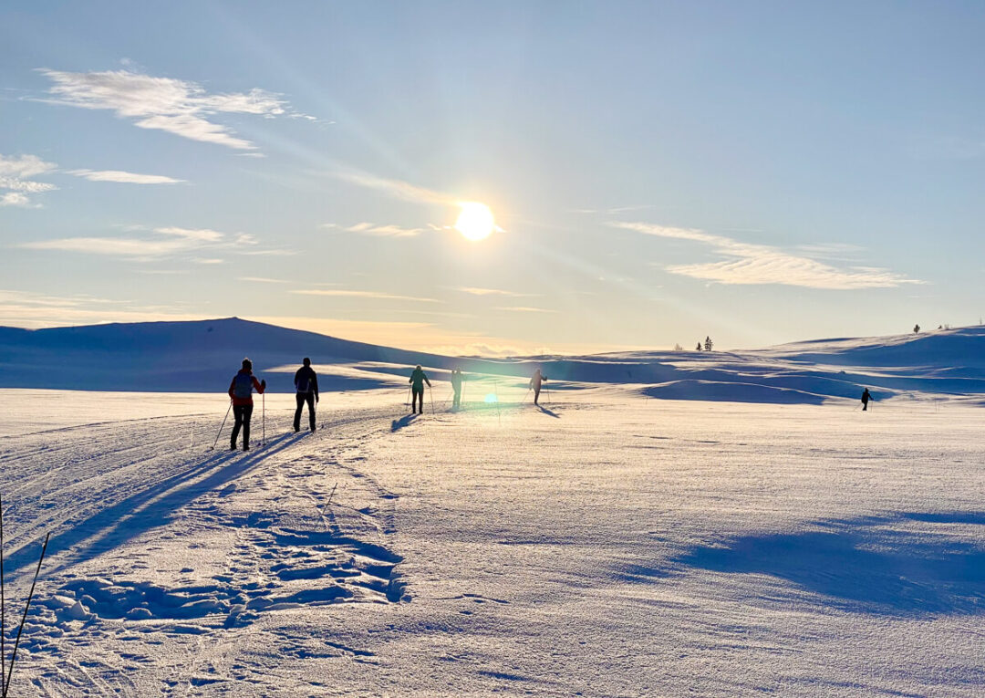 Skiers gliding across snowy landscape in Norway