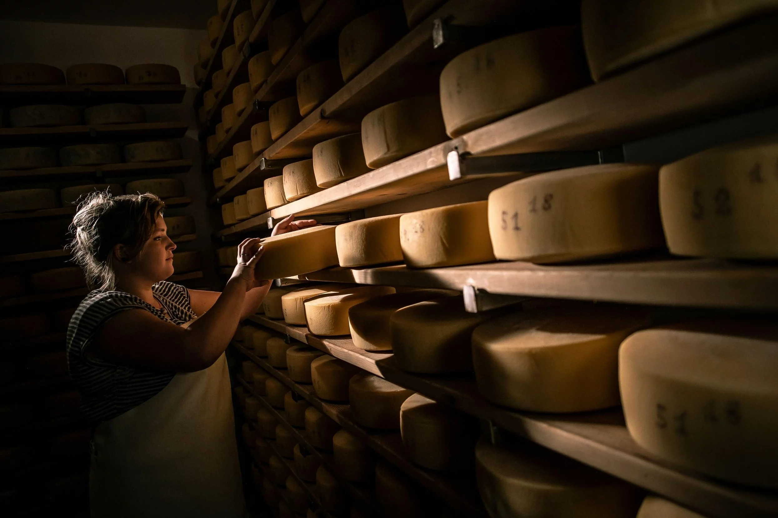 Woman checking wheels of cheese in an underground dairy cellar with rows of cheeses on shelves