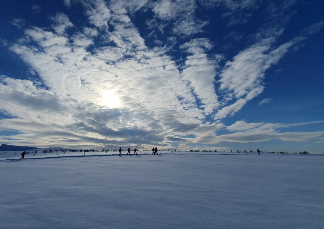Women cross-country skiing on a snowy plain under a blue sky in spring sunlight