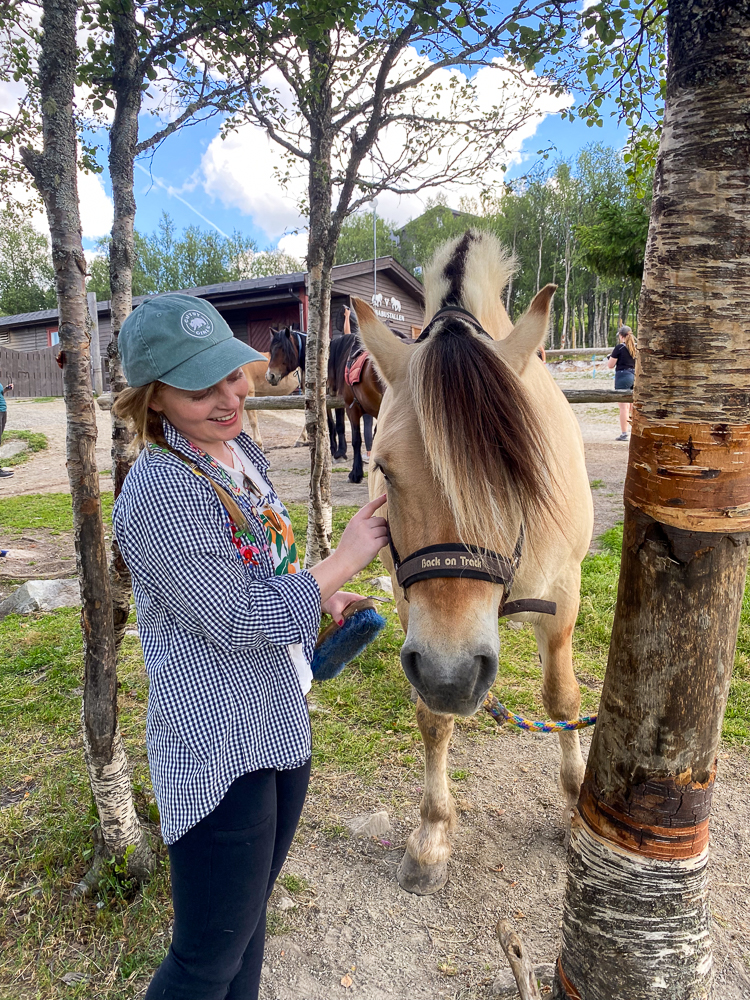 Woman brushes a horse in a rural yard; horse wears “Back on Track” saddle pad.