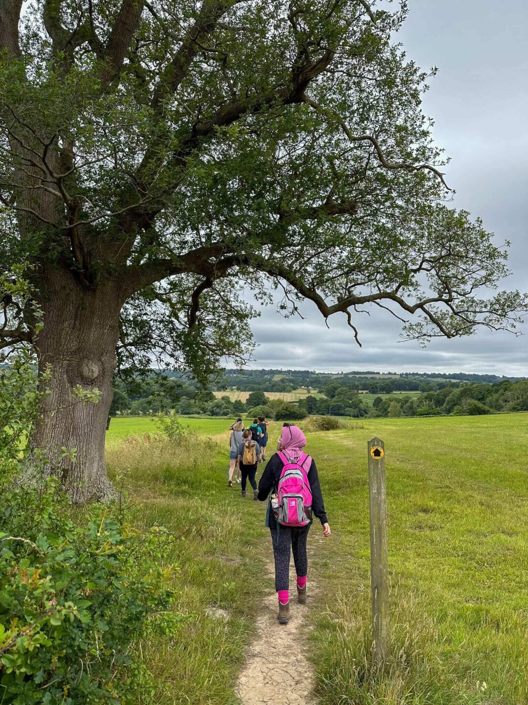 Women hiking a countryside trail on a guided day hike near London, through Sussex fields.