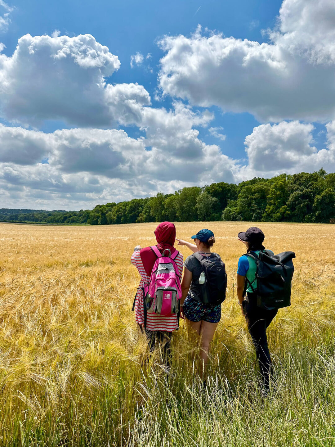 Women hikers with backpacks walking through a golden wheat field under a blue sky