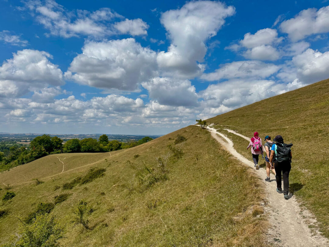 Guided Hike Near London: Wendover Loop in the Chilterns