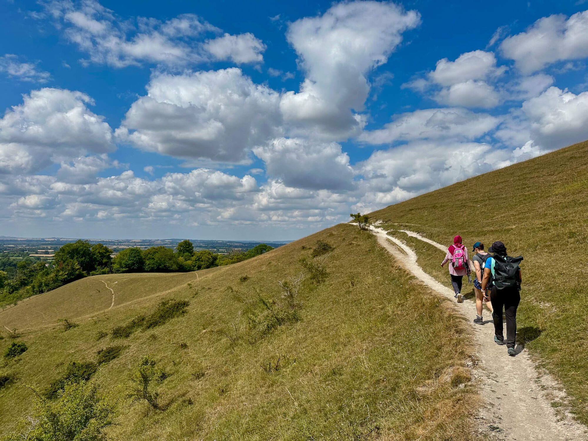 Guided Hike Near London: Wendover Loop in the Chilterns hero