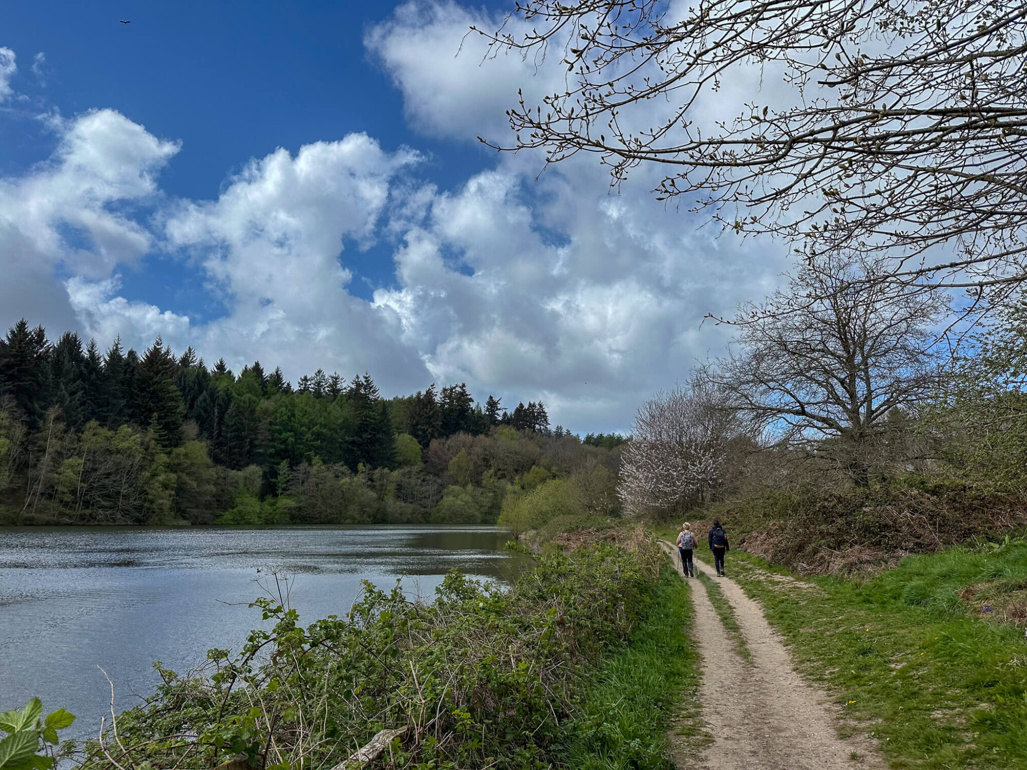 Guided Day Hike Near London: The Balcombe Loop, Sussex hero