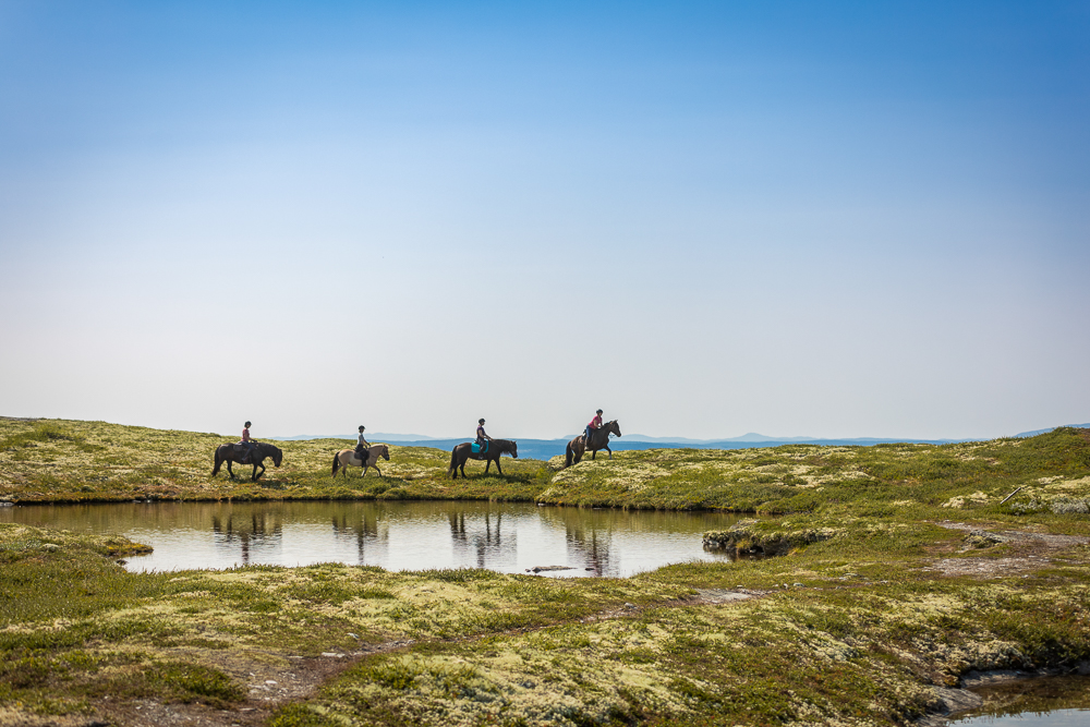 Women horse riding along a river across open moorland under a blue sky