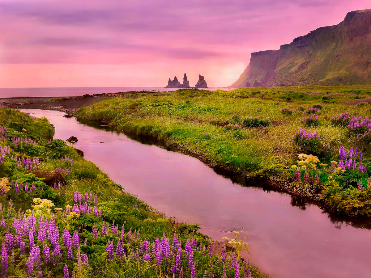 River winding through coastal wildflowers at sunset, with sea cliffs and distant rock formations