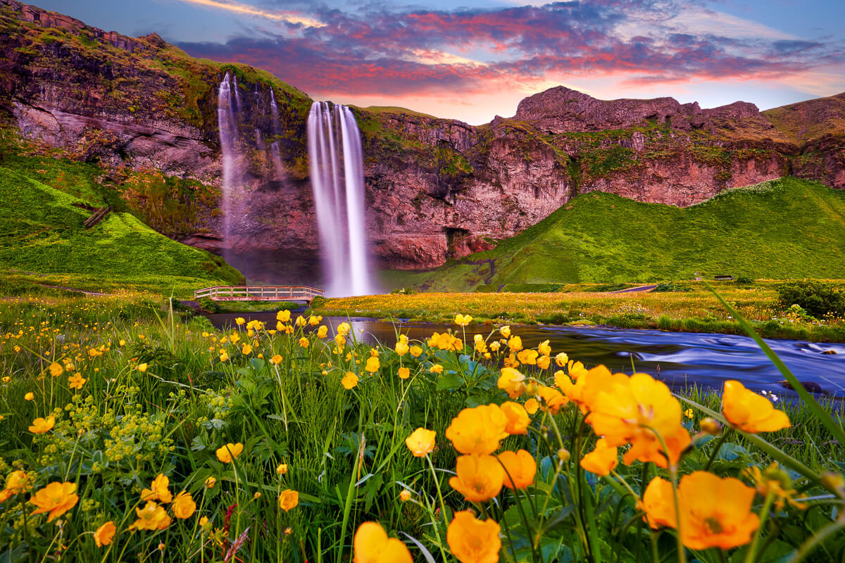 godafoss waterfall with wild flowers at sunset in Iceland
