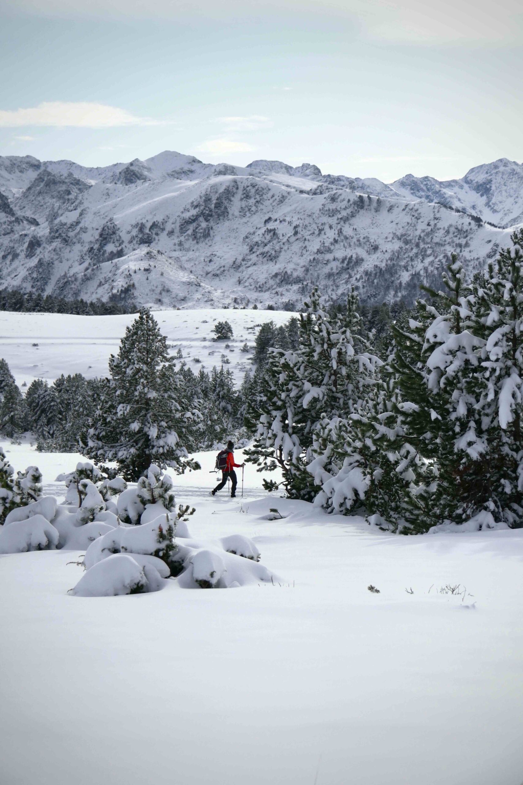 Women cross-country skiing through a snowy mountain valley with pine trees and distant peaks