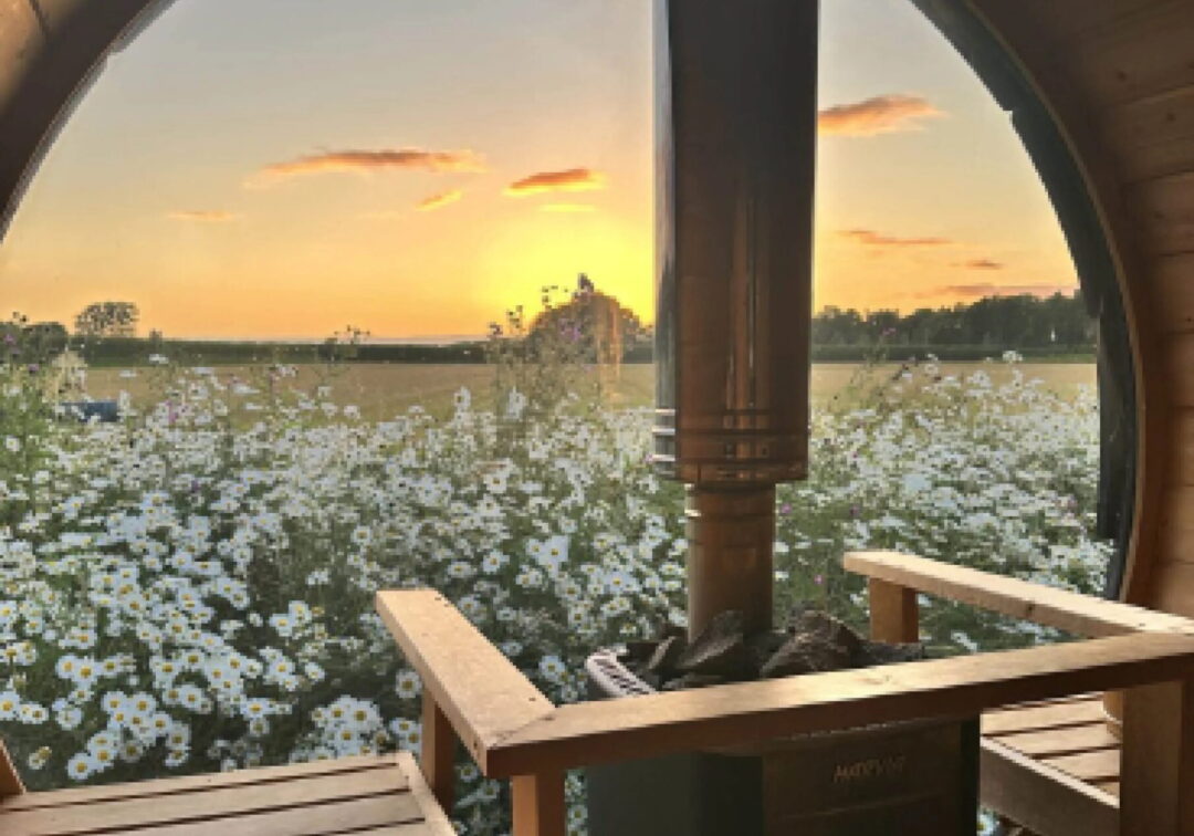 Sauna interior with wooden benches and heater, looking out at a countryside field of wildflowers at sunset