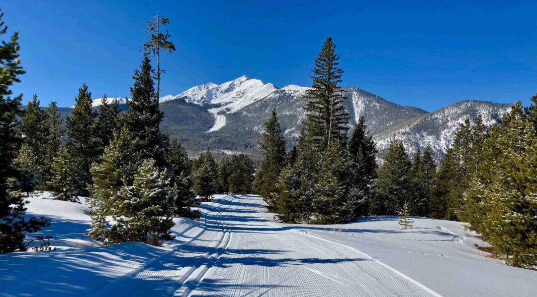 Cross-country ski track on snowy mountain landscape with pine trees and distant peaks under blue sky