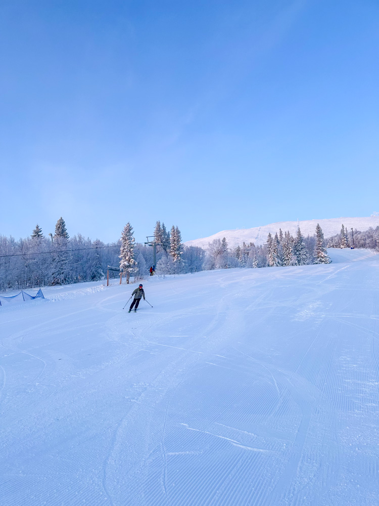 Woman skiing on snow-covered slopes in the Alps, surrounded by pine trees.