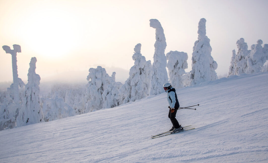 Woman skiing on a snowy mountain slope with frost-covered pine trees in the background