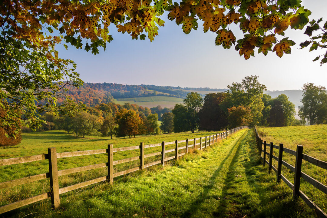 Autumn countryside view with wooden field fences, green grass and distant hills under a clear sky