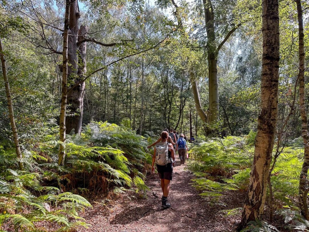 Women hiking along a woodland trail with ferns and tall trees, outdoors on a nature walk.