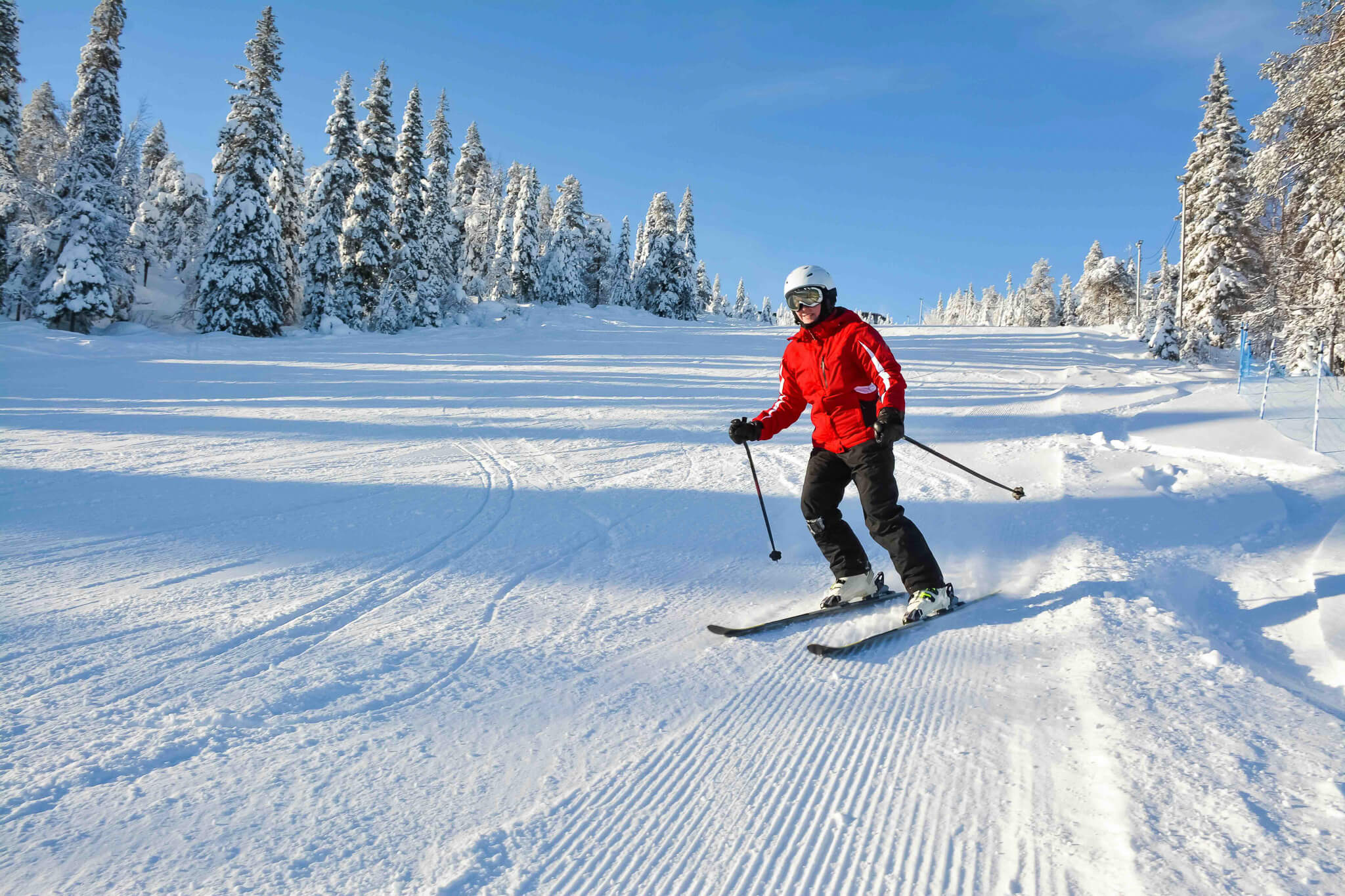 Types of Skiing Explained: Alpine, Nordic, Touring & Skate