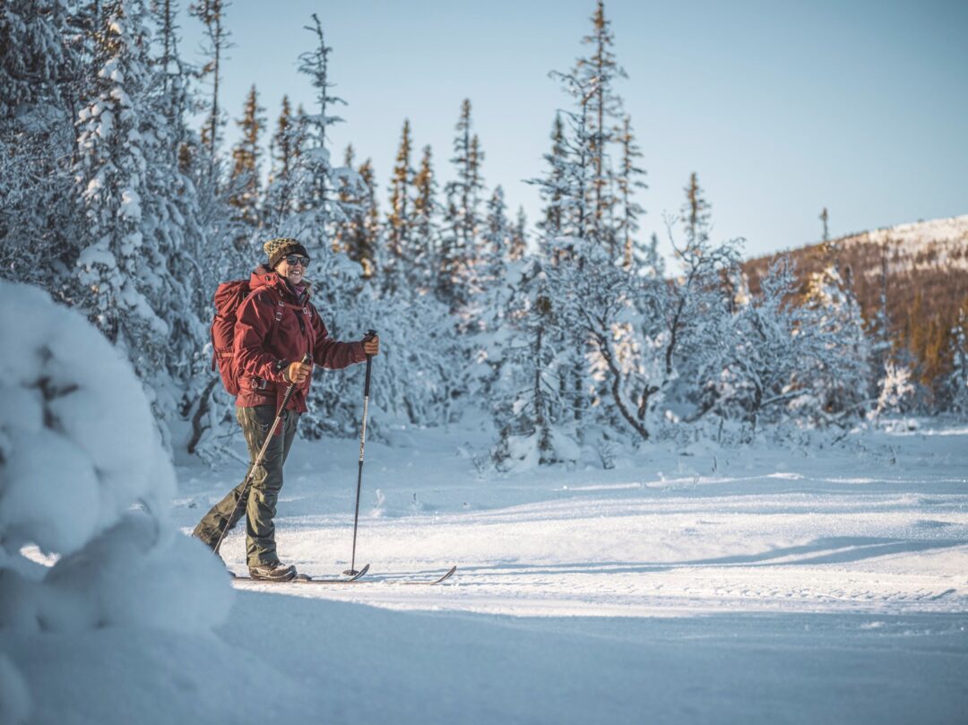 Woman cross-country skiing in snowy forest in Sweden, winter adventure holiday landscape